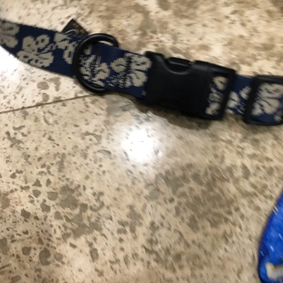 🐶 PET SUPPLIES - Dog Bundle - Collars, Leash, Scarf - Picture 7 of 10